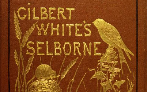 The Natural History: Gilbert White's Selborne | History Today