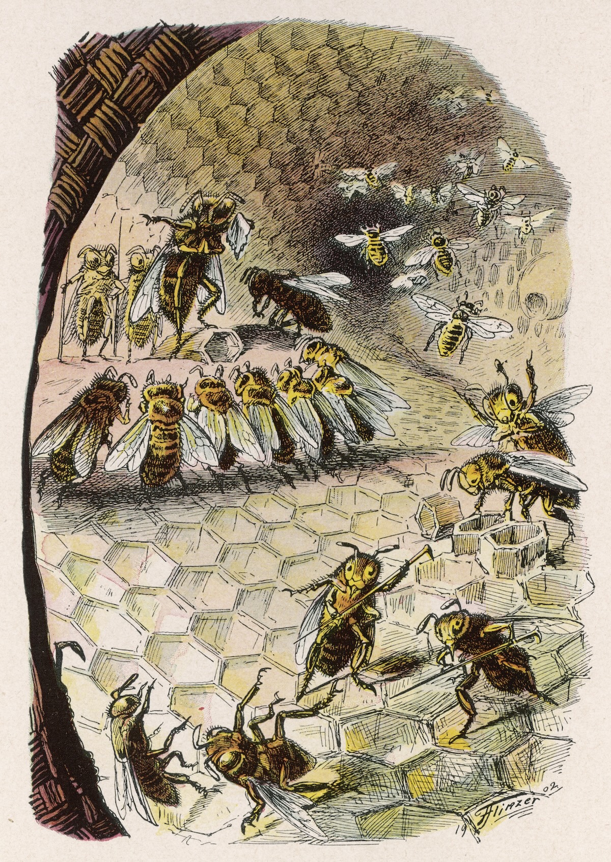 A beehive scene, by Fedor Flinzer, 1902. Mary Evans Picture Library.