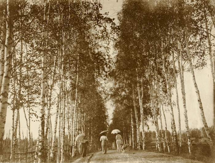 A birch-lined avenue in Russia, by Alphonse Muchae, c. 1913. J. Paul Getty Museum, Los Angeles. Public Domain.