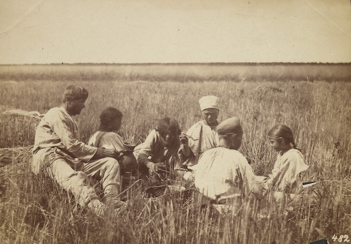 Children in field in Russia, by William Carrick, c. 1860s. J. Paul Getty Museum, Los Angeles. Public Domain.