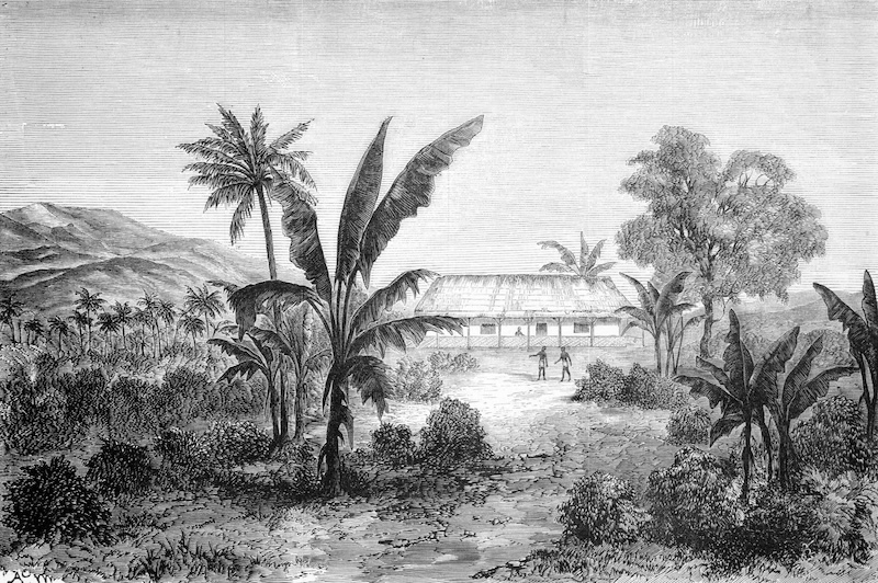 The British Acquisition of Fiji | History Today