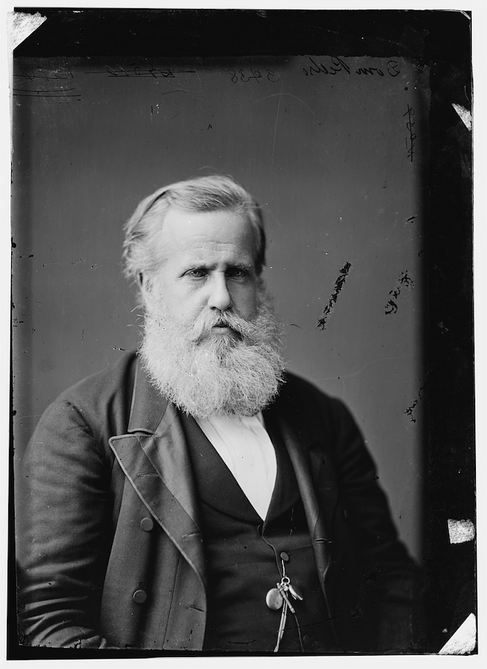 Dom Pedro II, emperor of Brazil, 1876. Library of Congress. Public Domain.