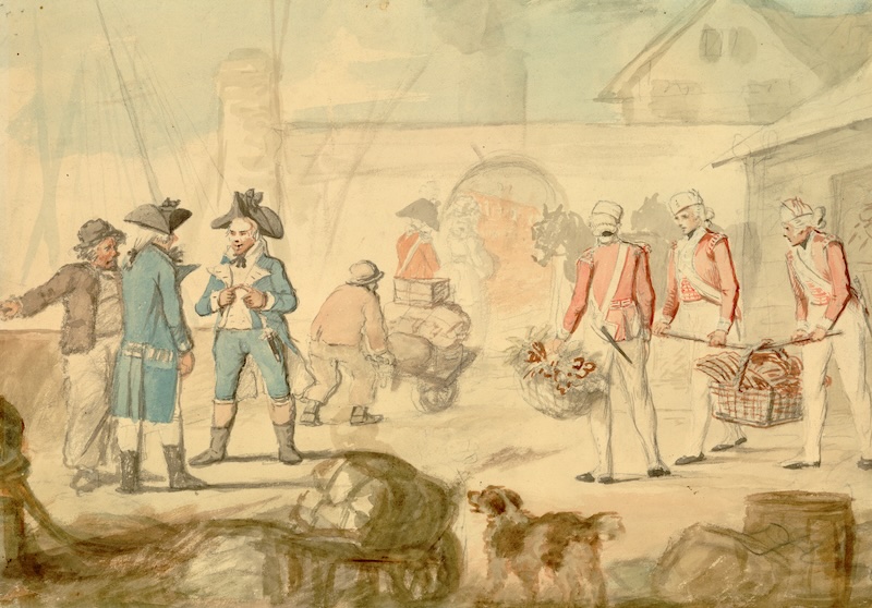 Officers, seamen and marines of the Royal Navy in the West Indies, by William Henry Bunbury, 1795. Prints, Drawings and Watercolors from the Anne S.K. Brown Military Collection. Brown Digital Repository. Brown University Library. Public Domain.