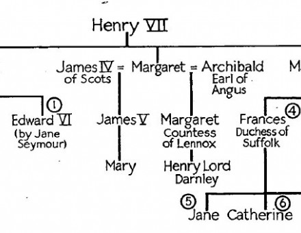 Henry Vii Family Tree